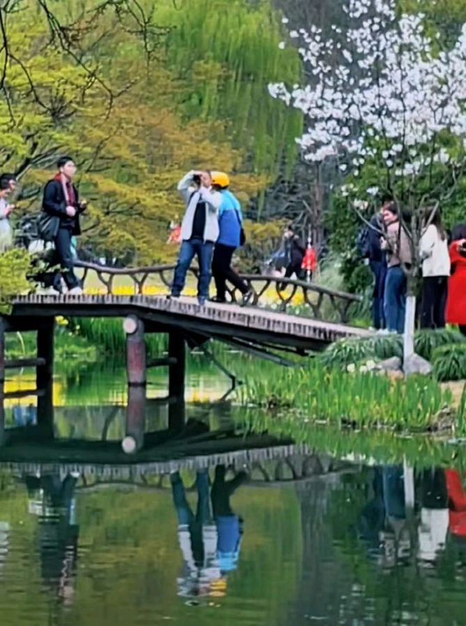 清泉（湖北）诗词小辑【冰心文化传媒】主编 冰心（图11）