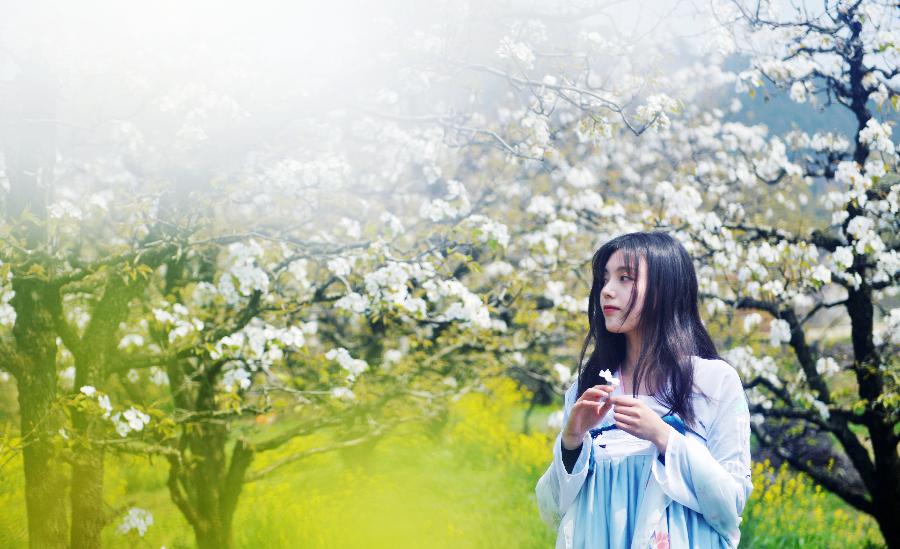 赞阳信梨花节 文/北极星（图8）