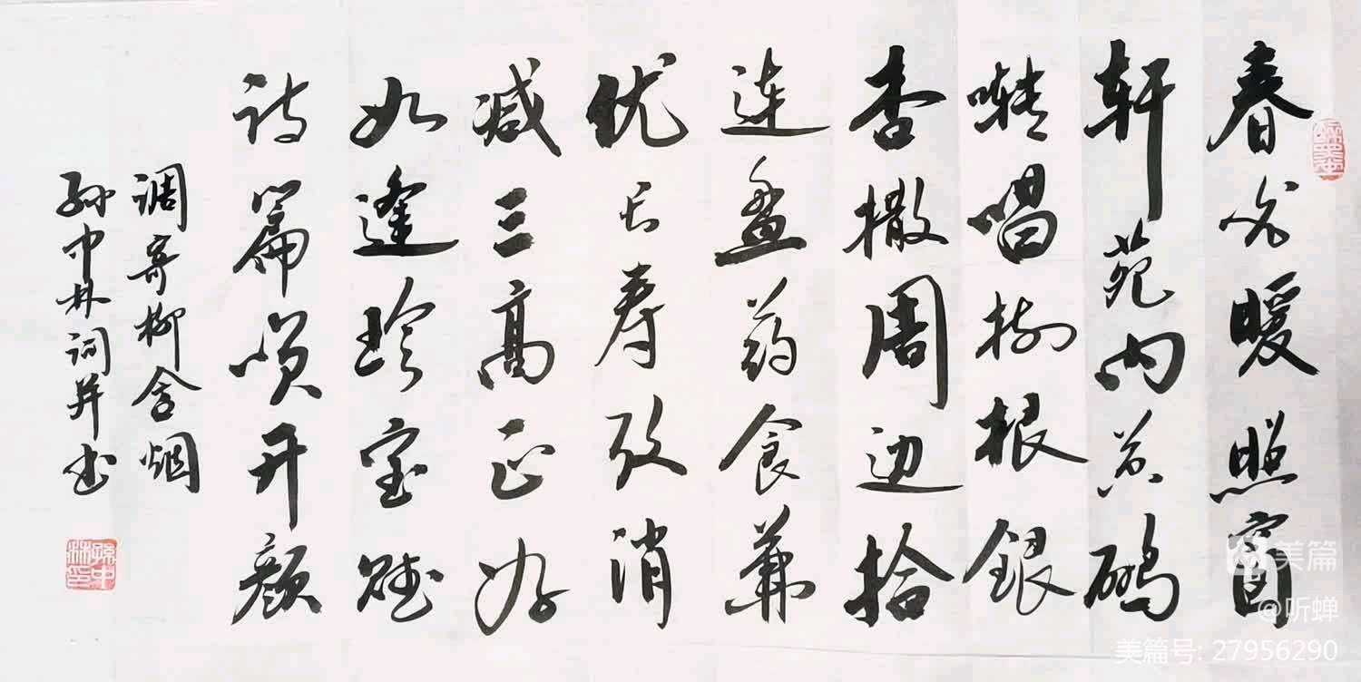 华夏流水诗社ll听蝉老师专辑（三）（图13）