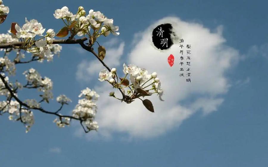 【新诗大观】清明（诗五首）||文/张道发||诵/李保红（图4）