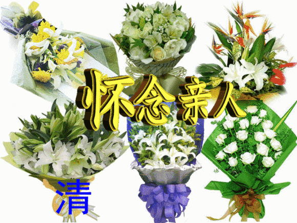 【原创】金蘭:清明祭祀感怀诗词八首(图11)