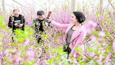 吴新来:【《春情有味》释译】(图3)