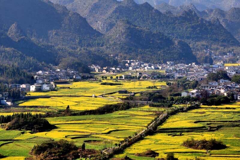 春到远山有人家（图3）