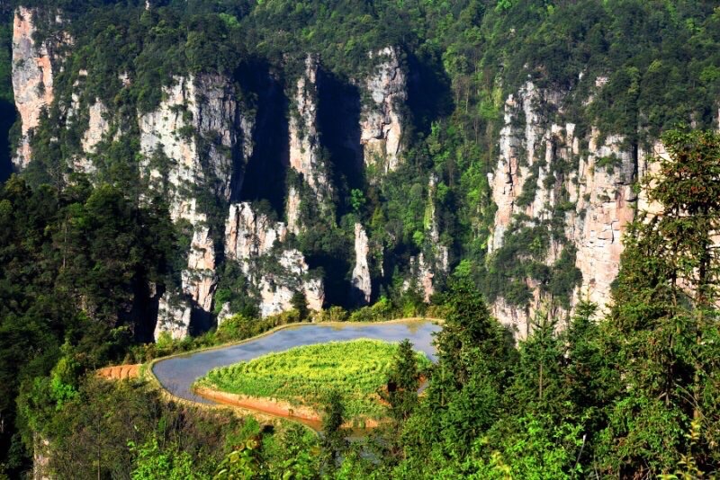 春到远山有人家（图4）