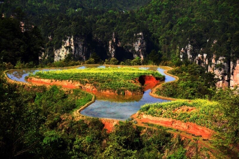 春到远山有人家（图8）