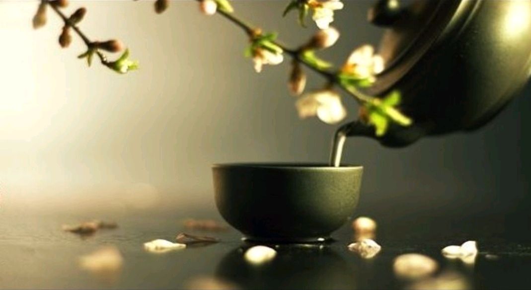 请欣赏诗人:春韵佳作巜致诵读者》主播:张茹 文诵精彩纷呈！（图4）