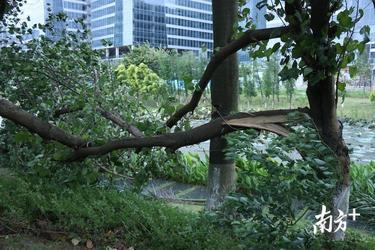 傅景华力作《气温骤变莫不爽》（图2）