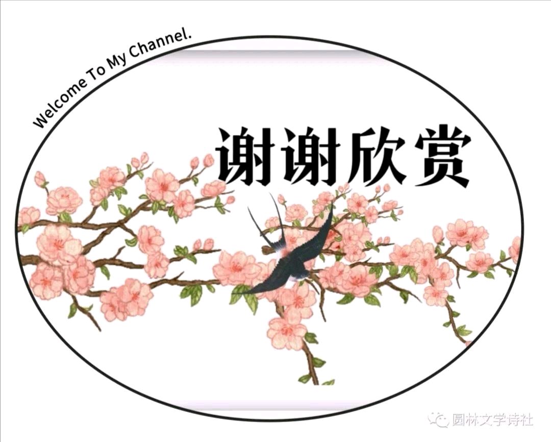 请欣赏诗人:王老五佳作巜简单生活》主播:鹰鹰 文诵精彩纷呈！（图18）