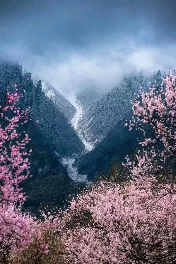 联机全球发布乐道作品欣赏（图13）