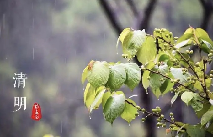 【新诗大观】清明祭（微型组诗）||文/胡有琪