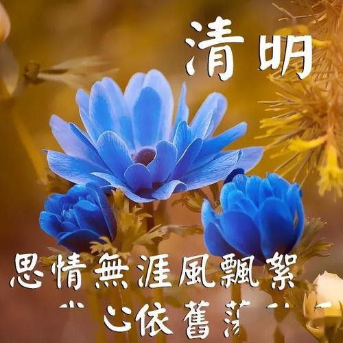 【重磅推出】东北精华“诗人”//清明专题作品展（图4）