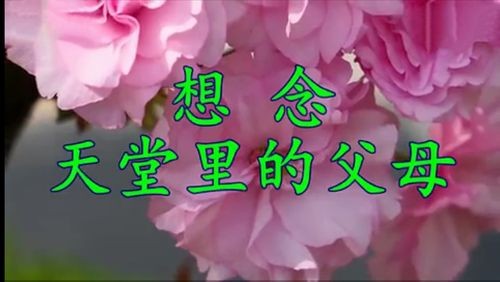 【重磅推出】东北精华“诗人”//清明专题作品展（图15）