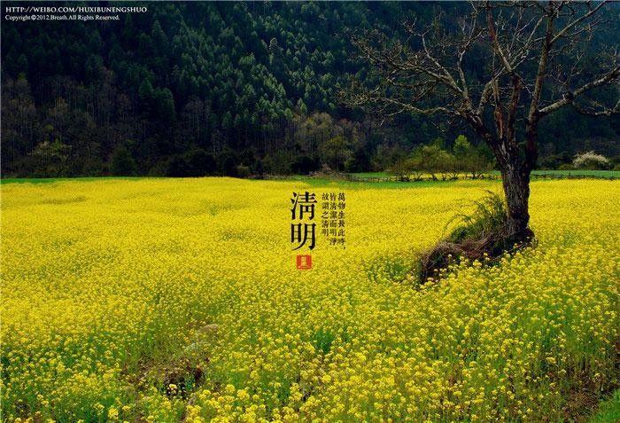 【重磅推出】东北精华“诗人”//清明专题作品展（图25）