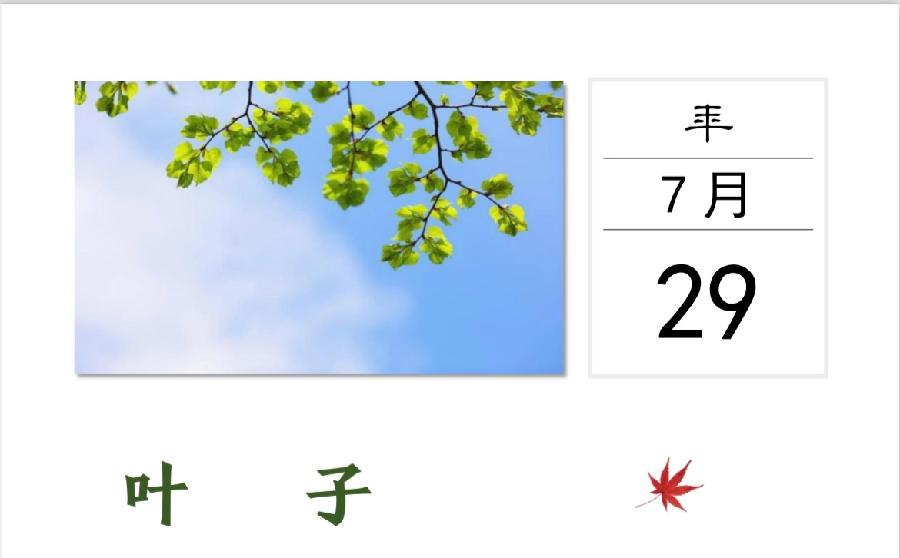季风诗历【日子是诗】选读：笑笑 朗诵专辑｜海外头条（图6）