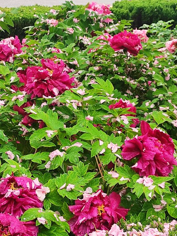 清明时节 原作/梁立锋（图3）