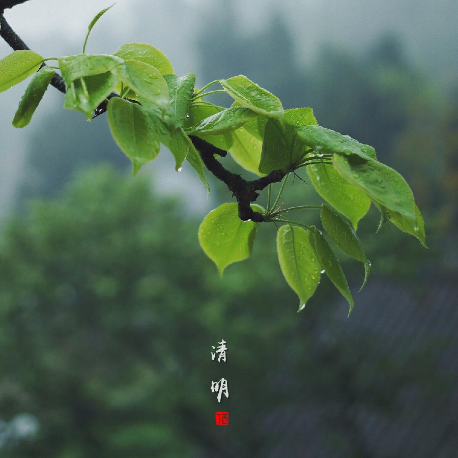 清明 三首 || 文/李帆（图3）