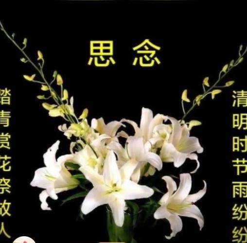 【清明专题】曾培方//清明祭父｛外二首｝（图4）