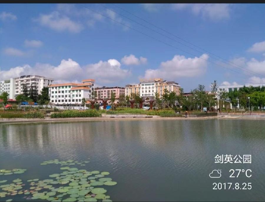 【清明专题】曾培方//清明祭父｛外二首｝（图8）