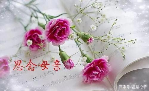 【清明专题】“农民诗人”曹南强//江城子•清明忆慈娘｛外一首｝（图3）