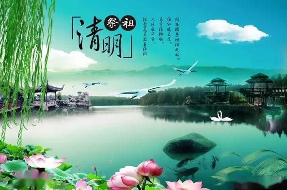 【清明专题】杜爱莲//清明祭母亲｛永远的思念｝（图5）