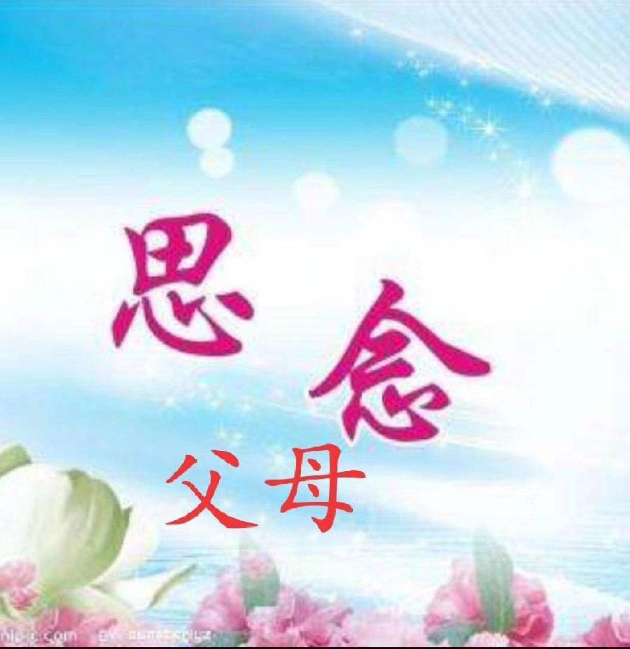 清明 文/北极星