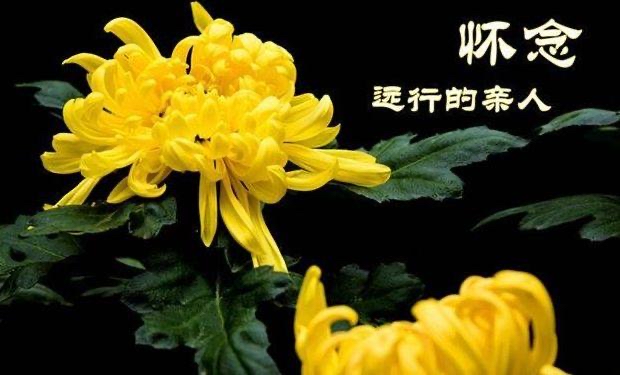 【新诗大观】写给母亲的诗||作者/花惜柔（图2）