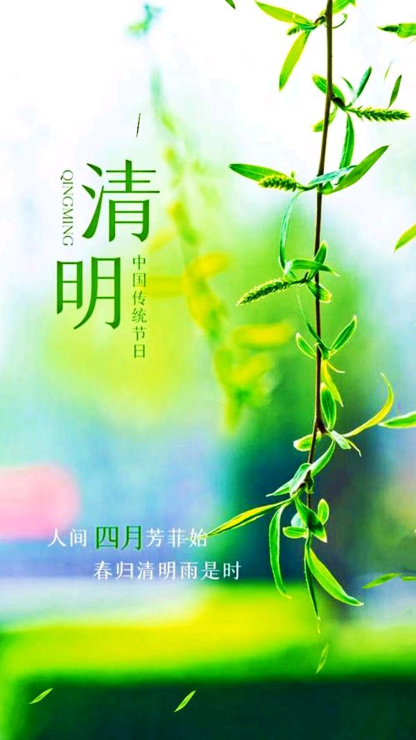 清明寄 文/马东佑 京津沪头条