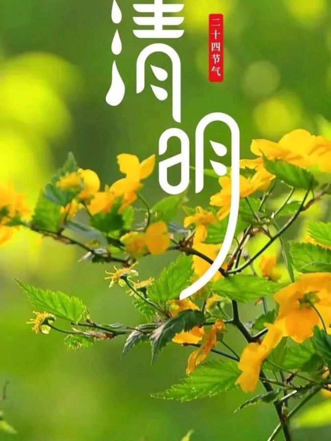 经典诗文 ‖ 国家一级演员于同云朗诵北方河作品《清明》著名朗诵表演艺术家连续朗诵婉风流转作品《记忆》（图6）