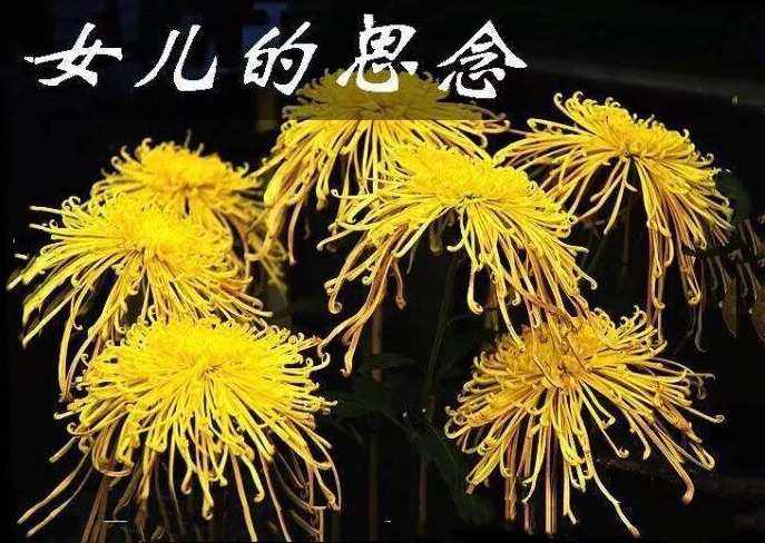 李绵玉《清明祭》主播:雪莹；编辑:开心快乐【运河之春】(第042期)（图4）