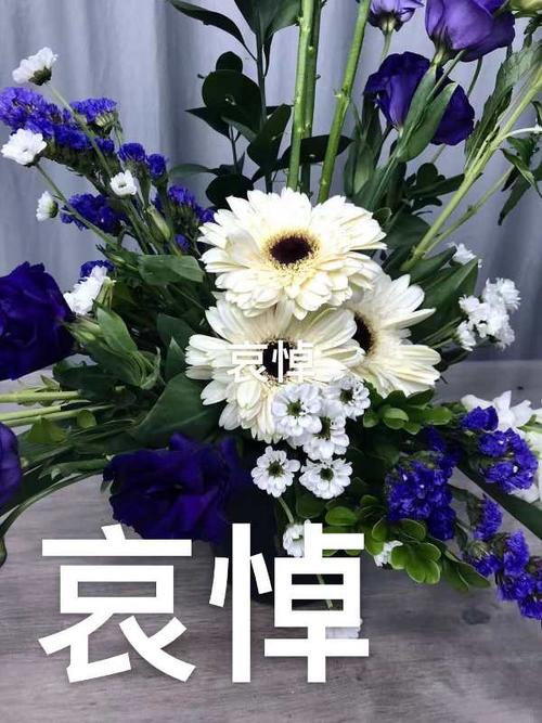 李敬党诗三首《悼念已故亲人的哀思》主播:李敬党；编辑:开心快乐【运河之春】(第041期)（图4）