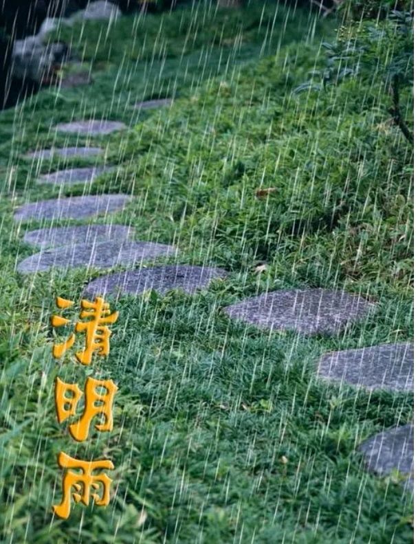 【清明专刊三】《烟雨里的清明节》作者/张超我 诵读/冬日艳阳【花雨馨声】【第292期】（图7）