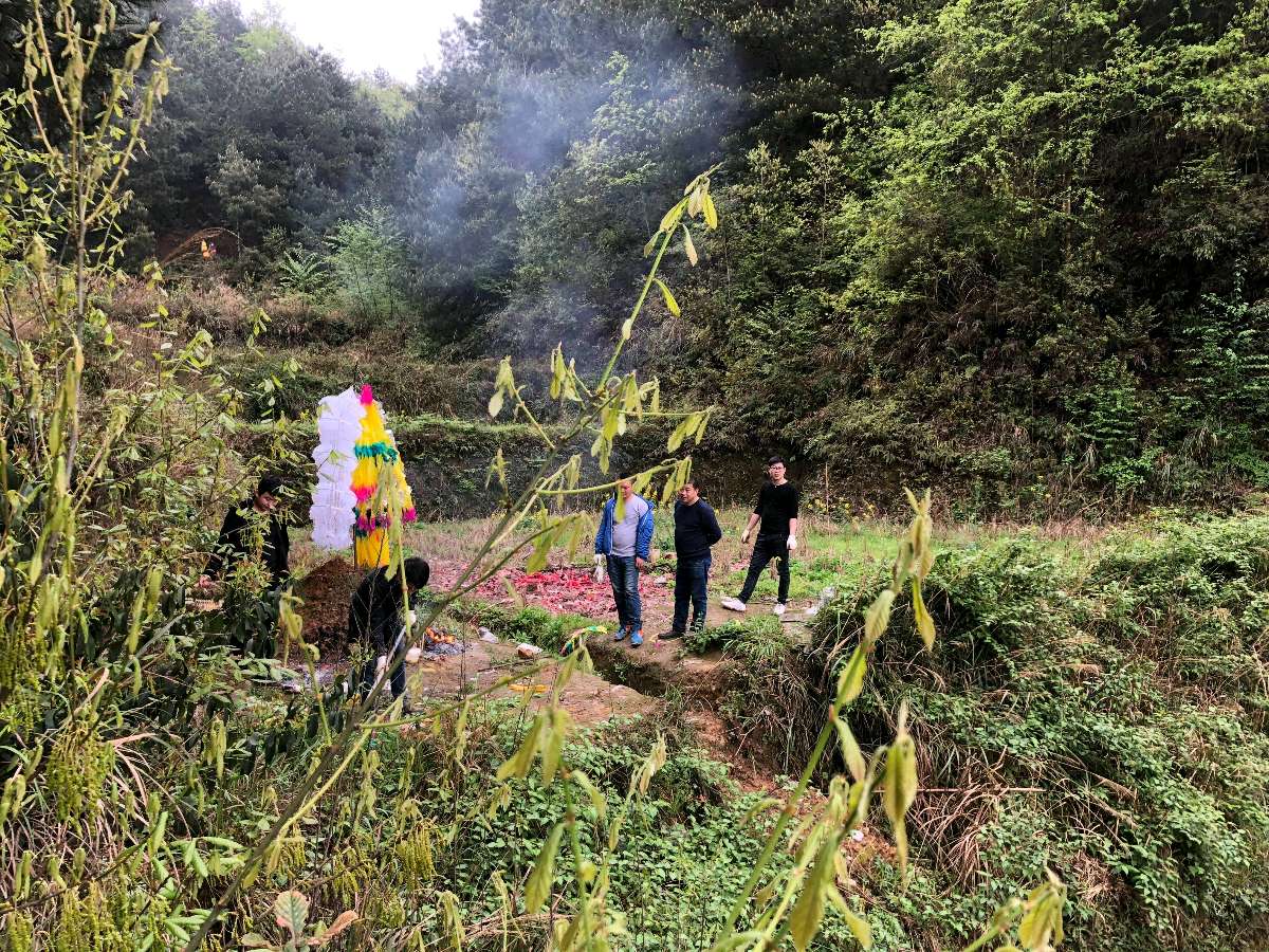 《新华文学社》驻社会员【清明同题】佳作荟萃/编辑:文苑牧童/都市头条(图5)