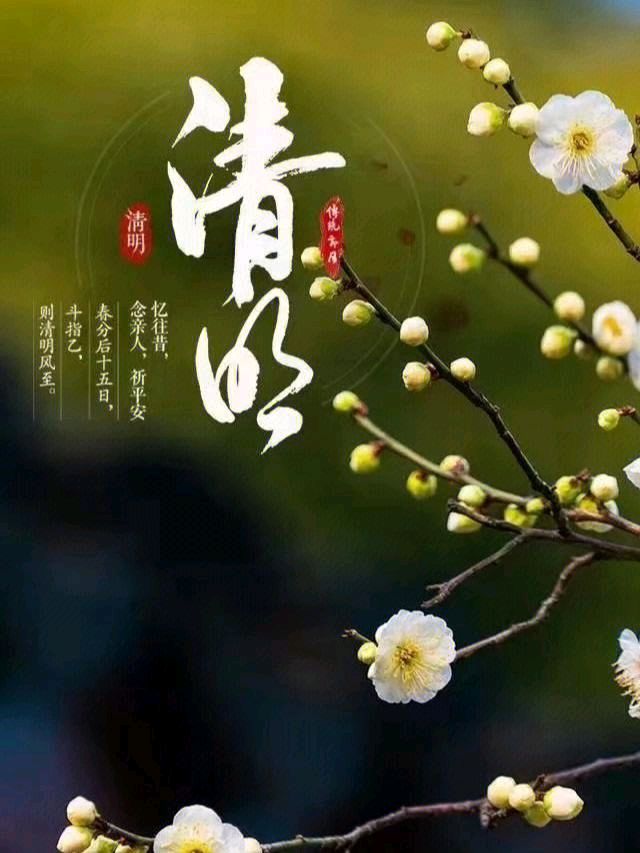 弘华朗诵【清明感怀】作者/王胜利（图6）