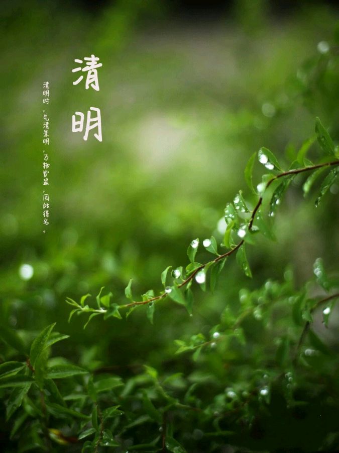 弘华朗诵【清明感怀】作者/王胜利（图5）