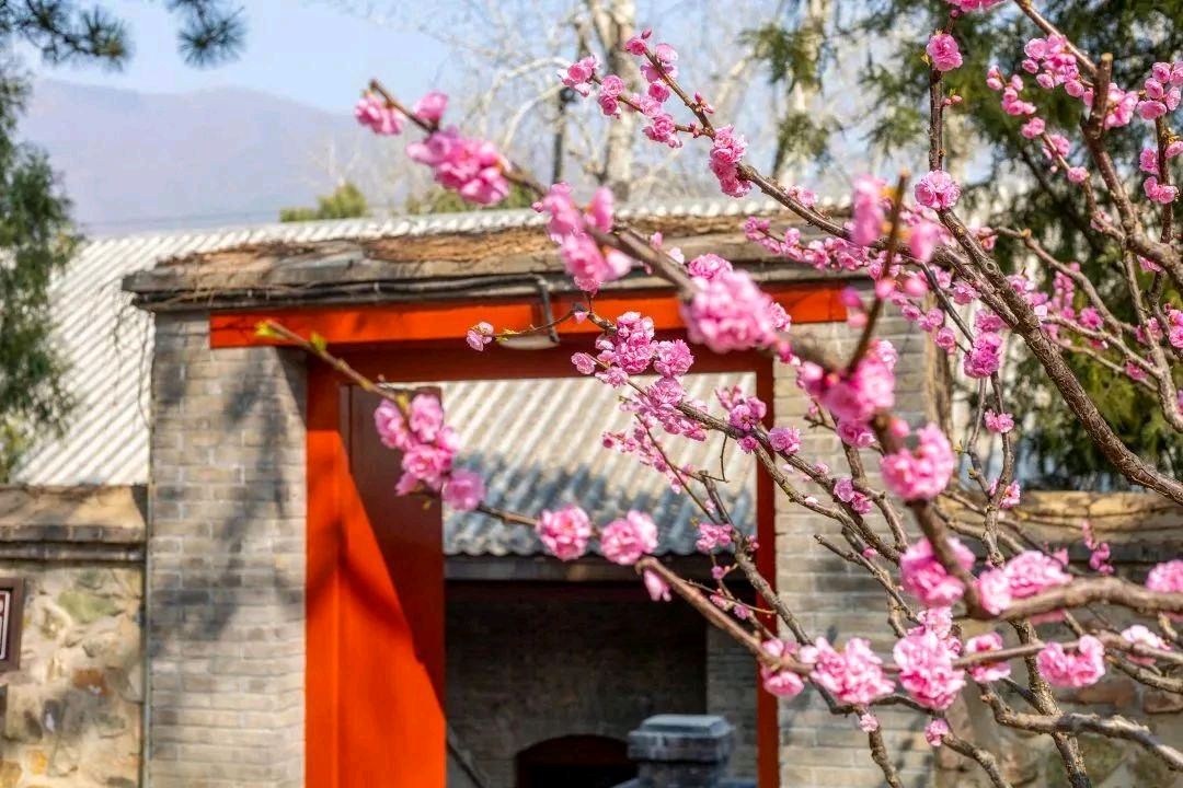 经典合诵 ‖【春天的诗】作者/碑林路人 合诵/段誉 夜色阑珊（图7）