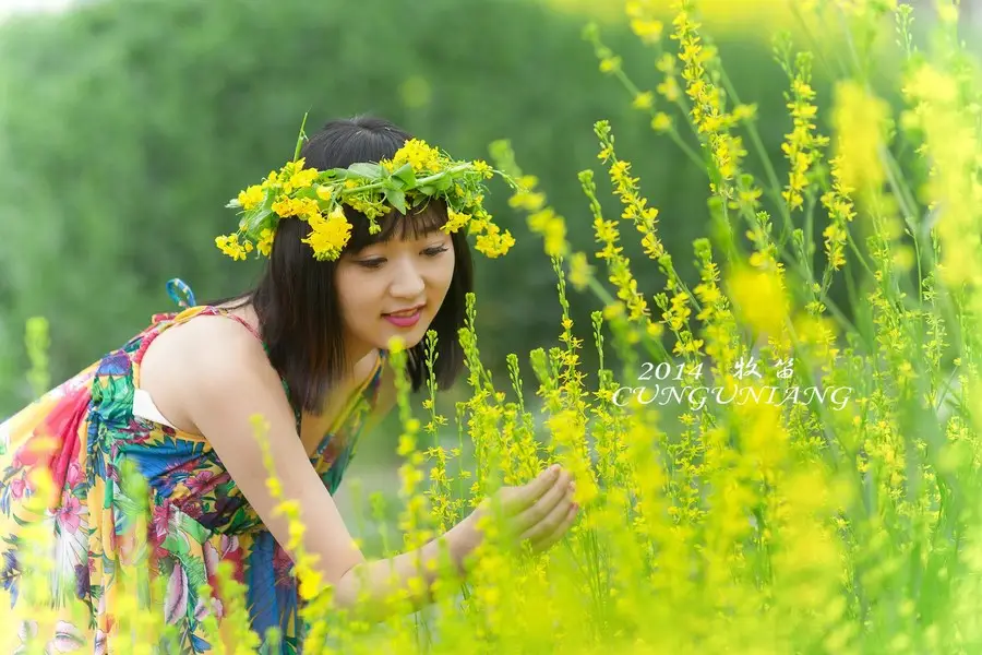 若梅花开/知否,知否?应是绿肥红瘦