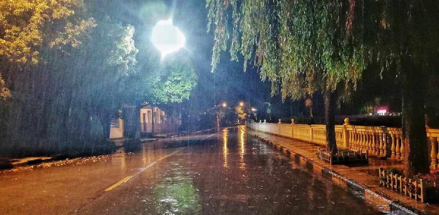 春天的雨(散文) 文/北极星(图2)