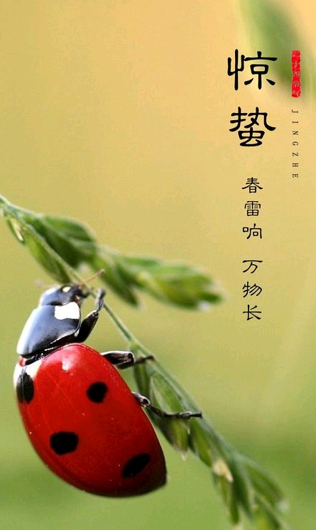 【原创】金蘭(大连)五律六首欣赏(图9)