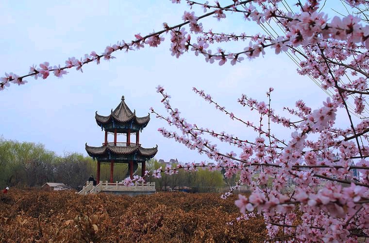 《七律·鹧鸪天古韵作品精选》作者:马守华【桃源国际诗歌集团】桃源★古韵（图4）