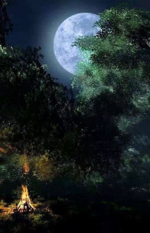 玉格格/诗词（选编）（图4）