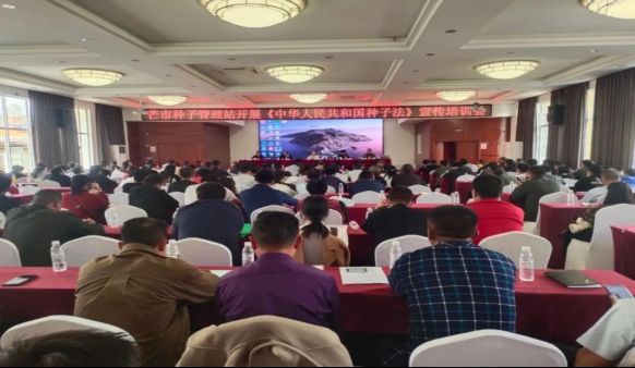 【春耕备耕现场见闻】云南省德宏州芒市:农资量足质优,种子监管严实