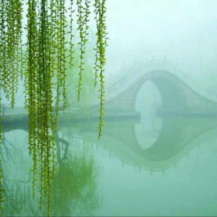 【九月茶韵文学诗社】2023—013《期待》作者王德贤 主播友友 编辑制作刘林丽(图2)
