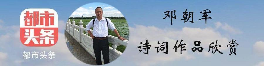 中华诗艺黑龙江分社●诗书画微刊(第46期)(图20)