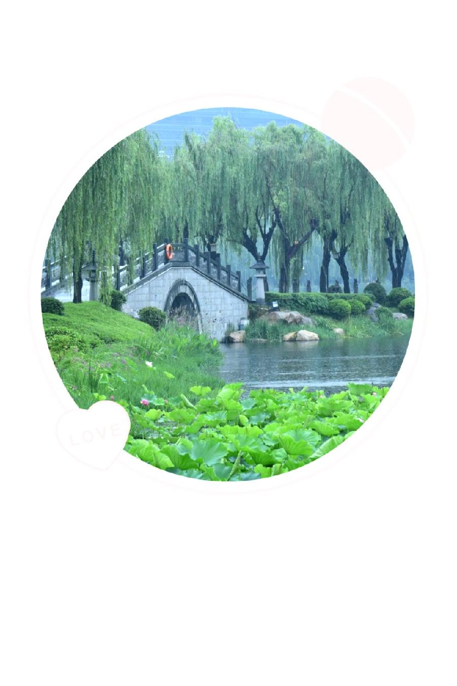 走进四月(图5)