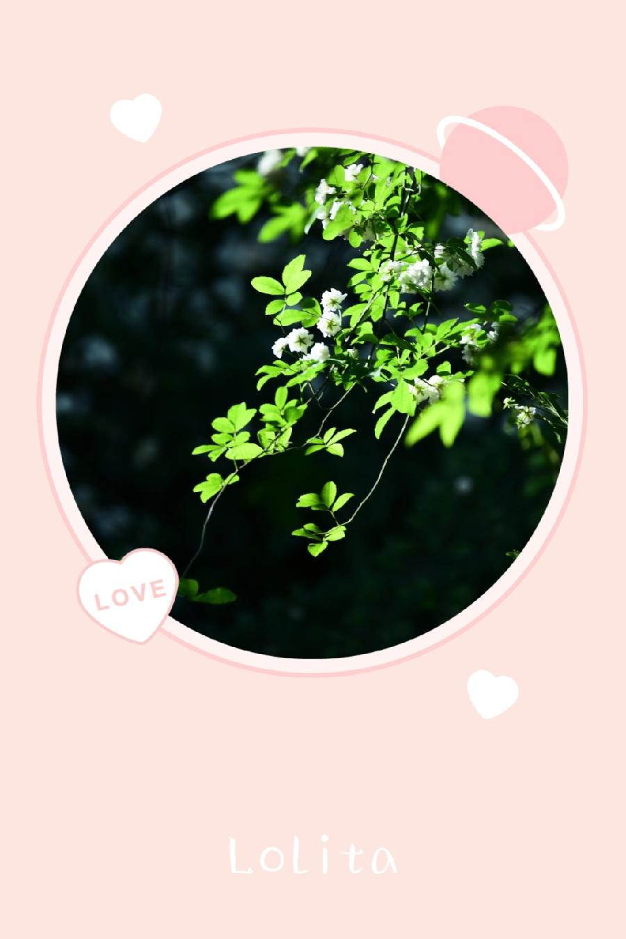 走进四月(图3)