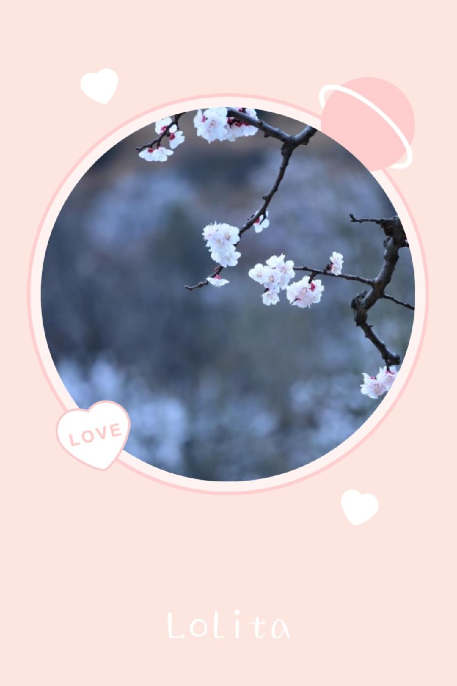 走进四月(图2)