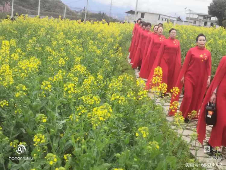 耿静:《清明时节采茶忙》(图3)