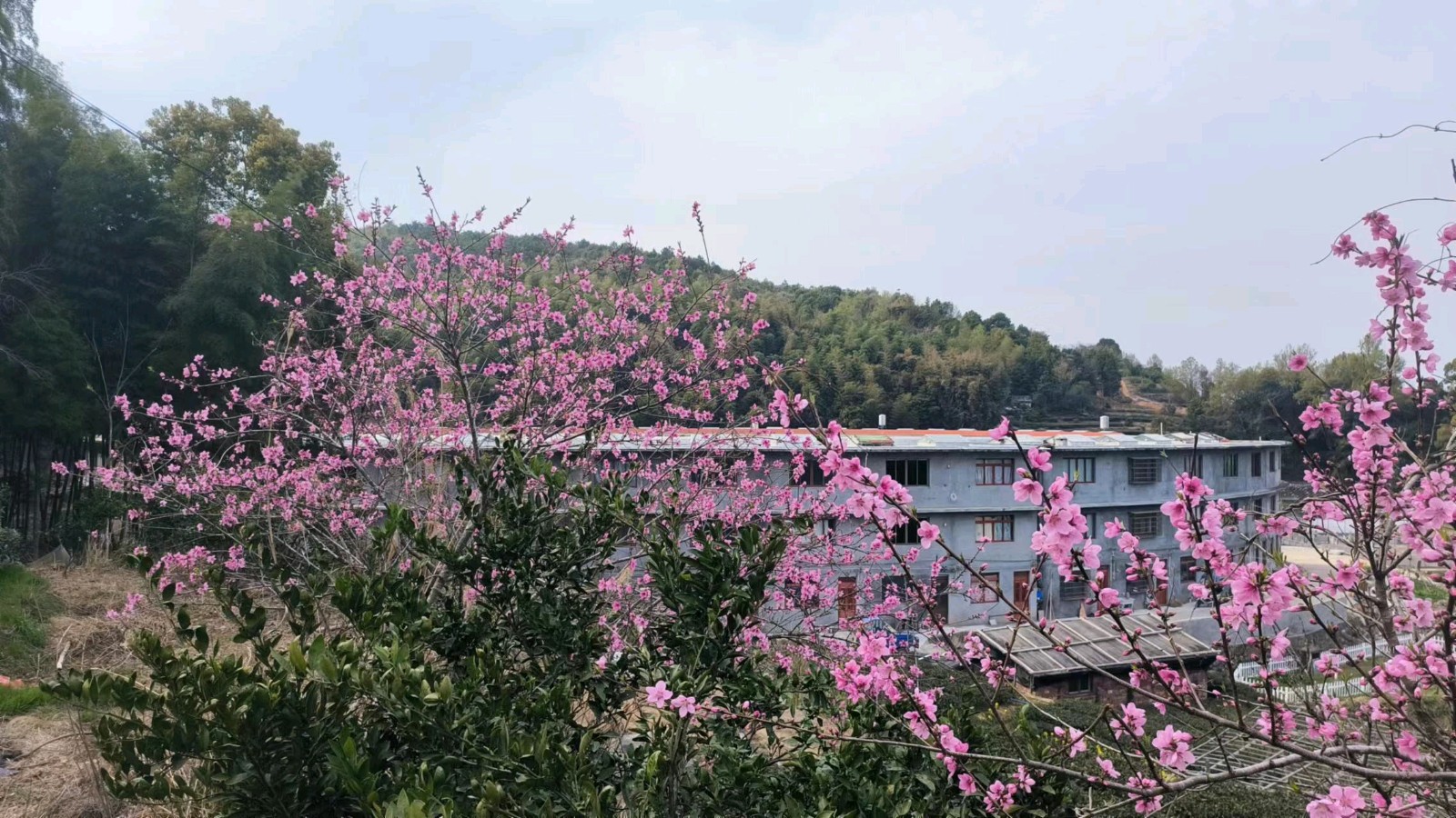 心尘文艺 第874期