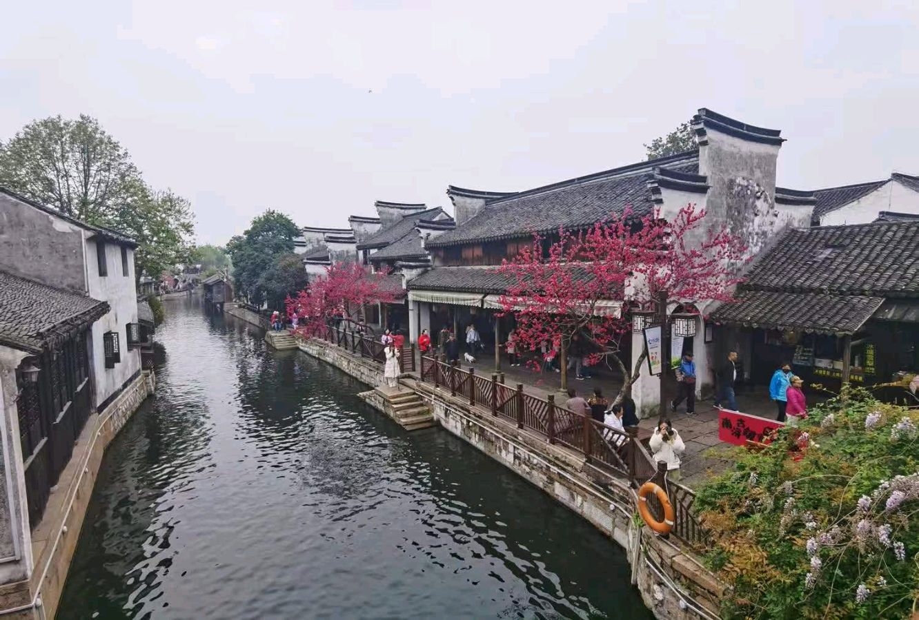 联机全球发布张树元作品欣赏（图5）
