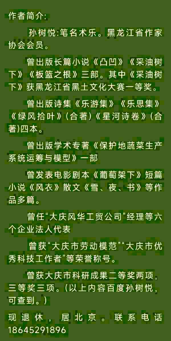 中华诗艺黑龙江分社●诗书画微刊(第47期)(图67)
